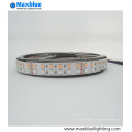 La plus récente RGBW LED Strip Light